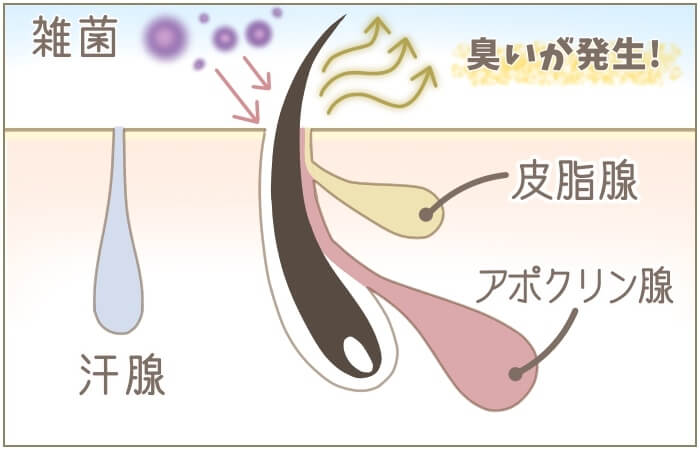 ワキガボトックス注射の効果